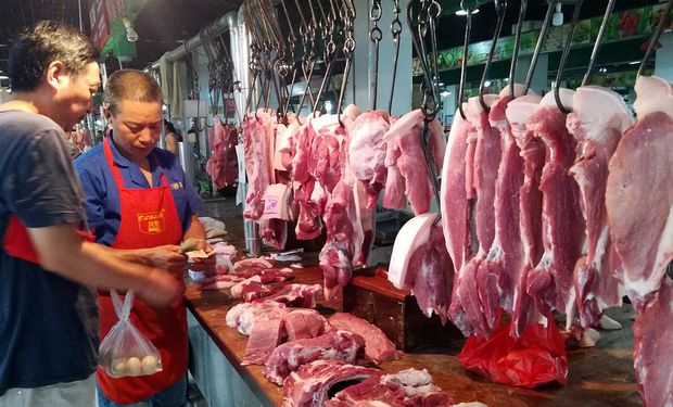 Peste Porcina: China prohibió la importación de carne de cerdo de Alemania