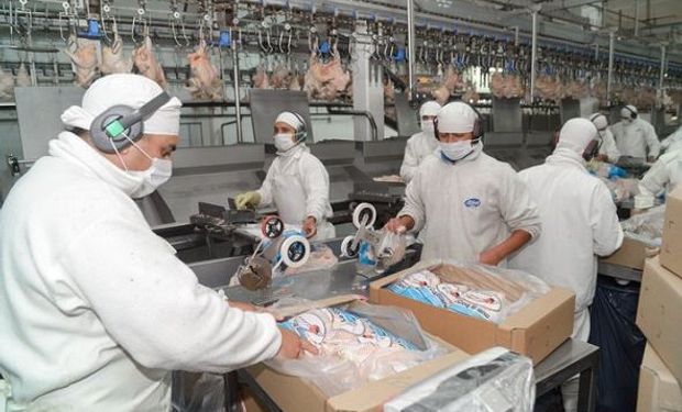 China habilitó 7 nuevas plantas de carne aviar.