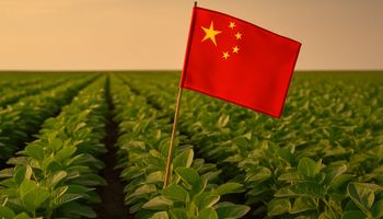 Estatal chinesa avança em plano para arrendar terras no Brasil para cultivo de soja e milho