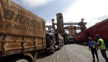 China importó 7,39 millones de toneladas de soja en noviembre
