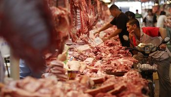 Récord: 7 de cada 10 kilos de carne vacuna exportados fueron a China