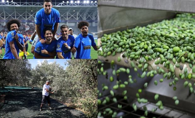 Cosecha temprana: la "pócima" que sale del campo y que ya usan hasta futbolistas de la Premier League para rendir más