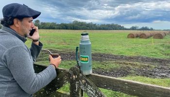 Trabajó 18 años en la compañía de tecnología más antigua del mundo y dejó todo para dedicarse al campo: cómo llegó a tener 750 vacas en servicio