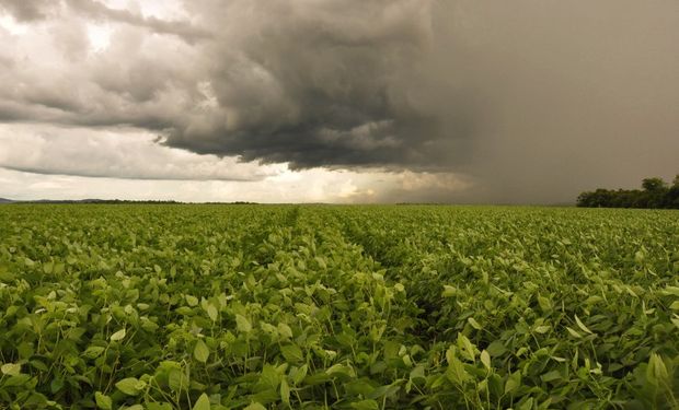 Ciclone chega em São Paulo e provoca chuva em cinco estados