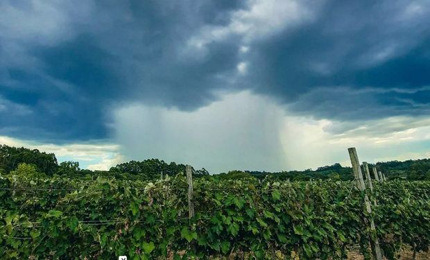 Chuva será frequente nos próximos dias e com temporais isolados