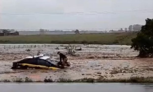A corporação afirma ainda que ninguém ficou ferido. (Foto - Reprodução)