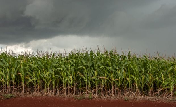 Clima no Brasil: semana começa com calor intenso e risco de temporais