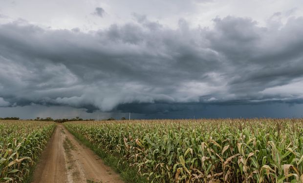 O estado de São Paulo terá uma quarta-feira de muitas nuvens. (Foto - Faesp)