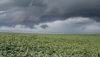 Agricultura enfrenta impactos mistos com massa de ar polar que atinge o país