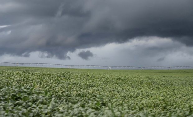 Agricultura enfrenta impactos mistos com massa de ar polar que atinge o país