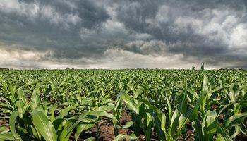 Como será o clima no Brasil em fevereiro?
