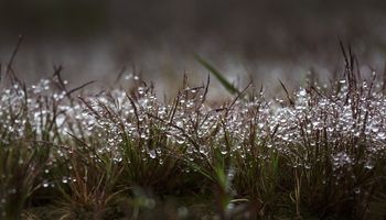 Frente fria no Rio Grande do Sul provoca temporais e quedas na temperatura 