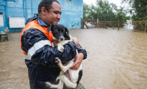 Cerca de uma a cada três pessoas (35%) já se sentiram impactadas por fenômenos climáticos extremos. (Foto - Prefeitura Porto Alegre)