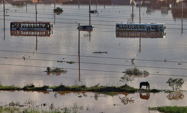 Prejuízos na agropecuária gaúcha causados pelas chuvas chegam a R$ 1,4 bi