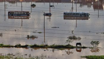 Impacto das enchentes no RS pode chegar a R$ 97 bilhões para economia nacional