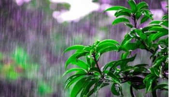 Previsão indica pancadas de chuva pelo Brasil: veja clima para hoje