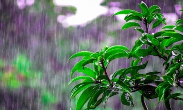Previsão indica pancadas de chuva pelo Brasil: veja clima para hoje