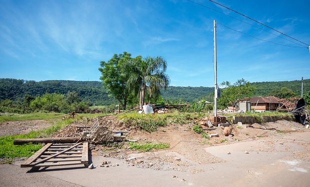 Relatório aponta que 198 municípios tiveram perdas no setor agropecuário. (Foto -Mauricio Tonetto / Secom)