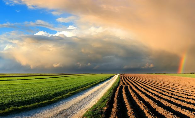 Plataforma traz mapa sobre condições agronômicas de todo Brasil