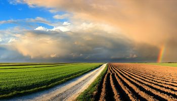 XP projeta cenário trágico no agro brasileiro por mudanças climáticas