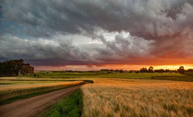 Algumas regiões do Matopiba e Mato Grosso vão ser castigadas pelas chuvas intensas.