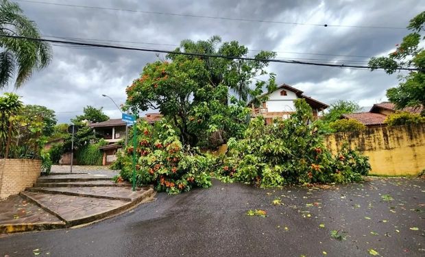 Rio Grande do Sul, Paraná e Santa Catarina ligam o alerta para as chuvas durante a semana. (Foto - Daniel Fleck/MetSul)