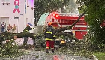 Tempestade e fortes ventos causarão danos da Argentina até o Sul do Brasil
