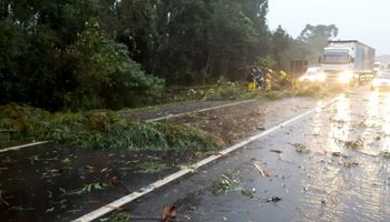 Chuva intensa e rajada de vento: veja onde há alerta de perigo no Brasil