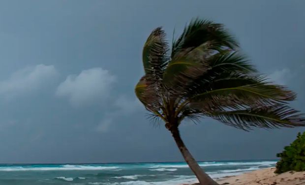 Fórum debate finanças climáticas antes de reunião de ministros do G20