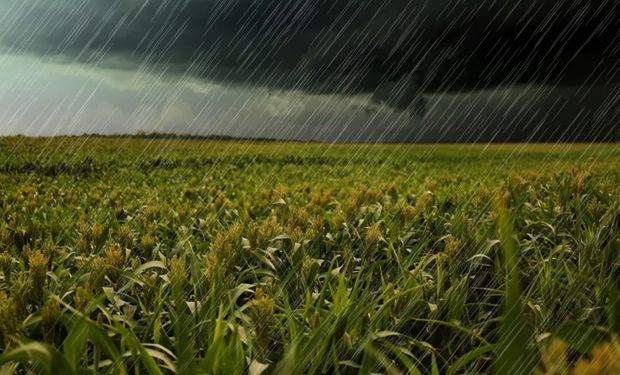 Chuva forte deixa Centro-Oeste em alerta e vendavais causam destruição no Paraná