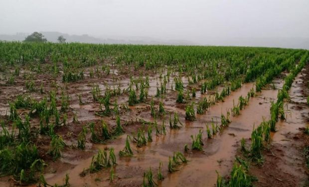 Previsão indica chuva irregular no Sul, Sudeste e Centro-Oeste do Brasil