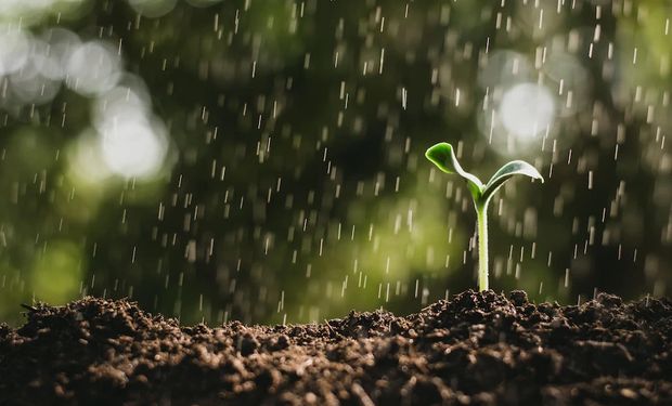 Previsão do clima: massa de ar perde intensidade mas espalha chuvas pelo Brasil