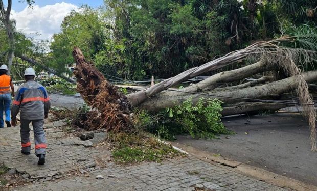 Chuvas intensas colocam Sudeste e Centro-Oeste em alerta; São Paulo monta gabinete de crise