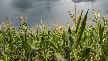 Chuvas avançam pelo Brasil e elevam risco de temporais nesta sexta-feira