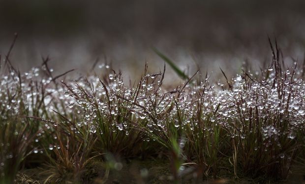 Previsão climática para a safra 2022/2023