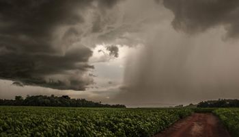 Fim de semana terá temporais com chuva forte e ventos de até 70 km/h