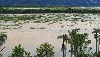 SP abre crédito emergencial para produtores e pescadores afetados por chuvas