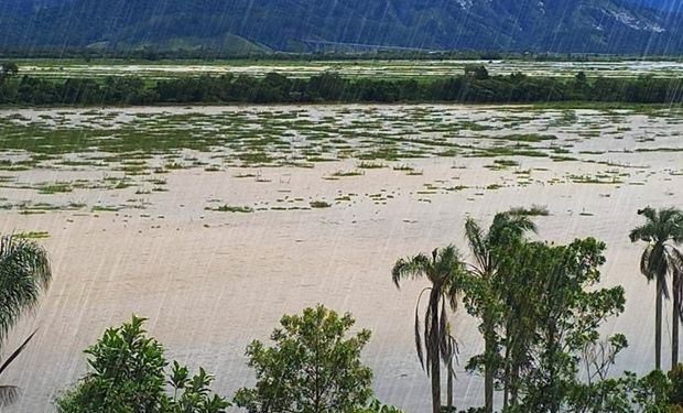 Governo oferece empréstimos de até R$ 50 mil reais para produtores pessoa física. (foto - Secretaria de Agricultura de SP)