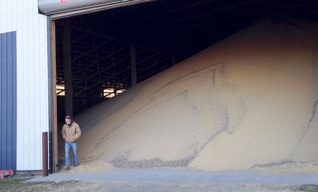 Ciberataque en plena cosecha: en Minnesota, otra empresa agrícola tuvo que dar de baja el sistema