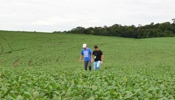 Agricultores atingidos por ciclone terão acesso a R$ 3,5 milhões em Santa Catarina