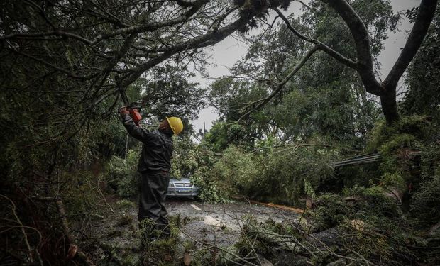 Último óbito foi confirmado hoje no município de Gravataí, depois que o corpo de um homem foi encontrado em uma área alagada