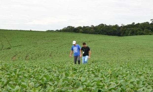 Também foram disponibilizados recursos que visam a subvenção de juros aos agricultores que realizarem financiamentos em bancos ou cooperativas de crédito