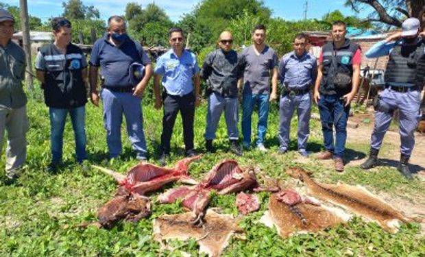 Robaron ciervos de un complejo ecológico, los mataron a palazos y los agarraron haciendo un asado