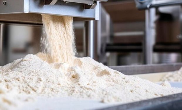 Aumentó casi un 8 % el precio de la harina subsidiada por el fideicomiso del trigo
