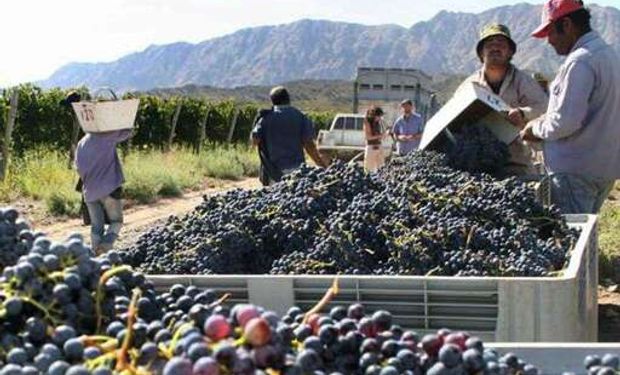 Economías regionales: la yerba, el vino y los cítricos cumplieron un año en rojo