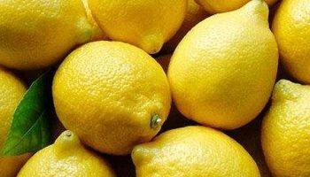Cítricos, energía y pesca: la oportunidad que abren tres sectores clave