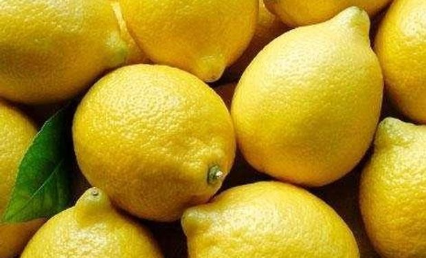Análisis de la realidad de la producción de cítricos, de la energía y de la pesca.