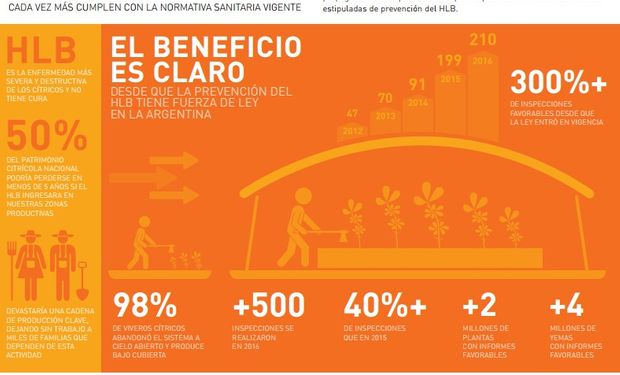 Cada vez son más los viveros cítricos inspeccionados que cumplen con la normativa sanitaria vigente.