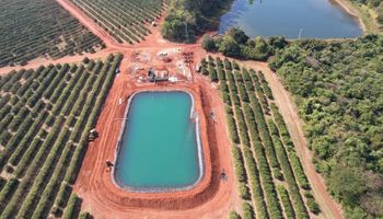 Gigantes da laranja vão irrigar 2,4 mil hectares para driblar secas extremas