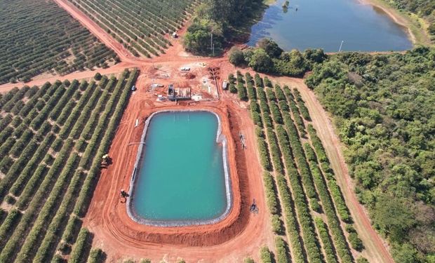 Duas grandes empresas de citros iniciam projetos de irrigação por gotejamento em seus pomares, utilizando tecnologia da multinacional Rivulis. (Foto - Divulgação Rivulis)